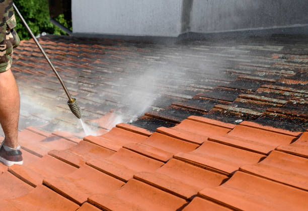 Best Residential Pressure Washing Services  in Highland Park, TX